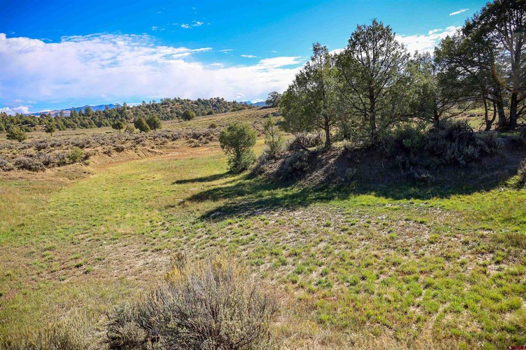 X Tall Pines Place Pagosa Springs CO 81147