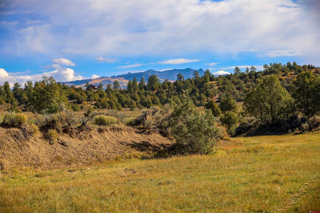 X Tall Pines Place Pagosa Springs CO 81147