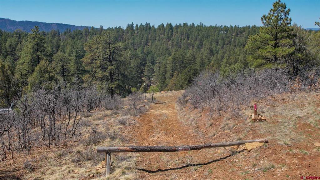 149/154 Engineer Point Pagosa Springs CO 81147