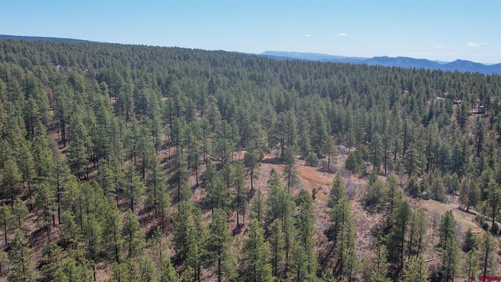 149/154 Engineer Point Pagosa Springs CO 81147