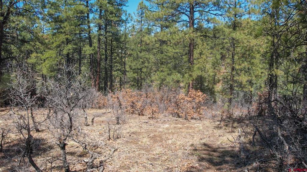 149/154 Engineer Point Pagosa Springs CO 81147