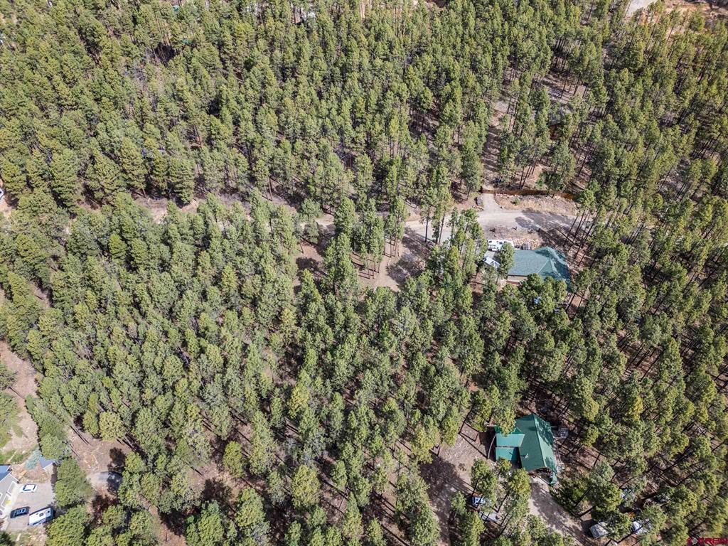 272 Timber Drive Bayfield CO 81122