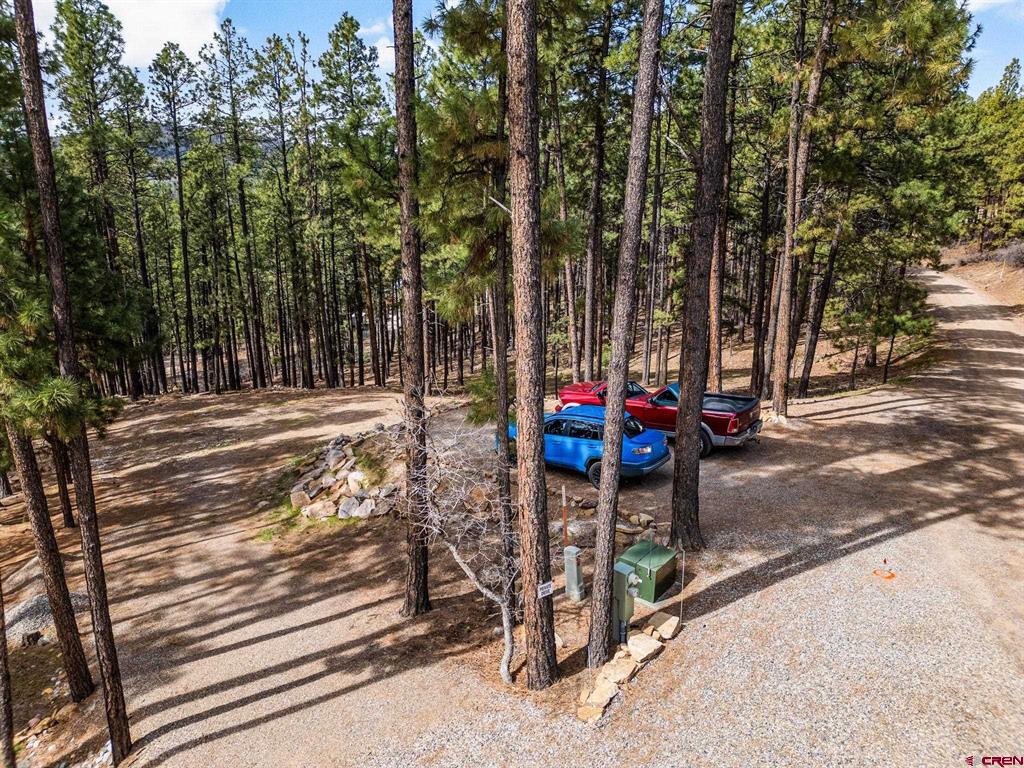 272 Timber Drive Bayfield CO 81122