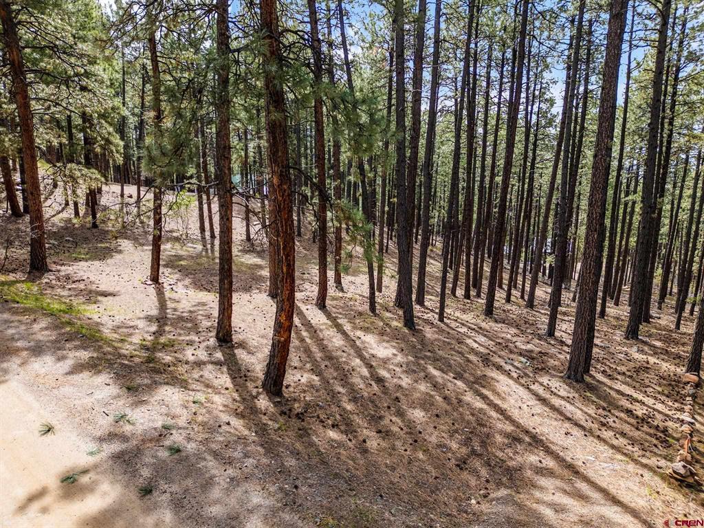 272 Timber Drive Bayfield CO 81122