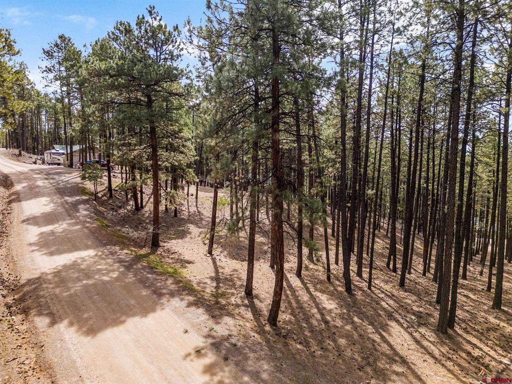 272 Timber Drive Bayfield CO 81122