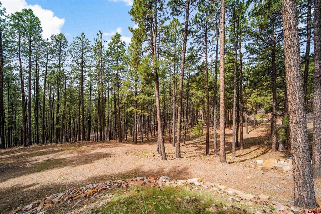 272 Timber Drive Bayfield CO 81122