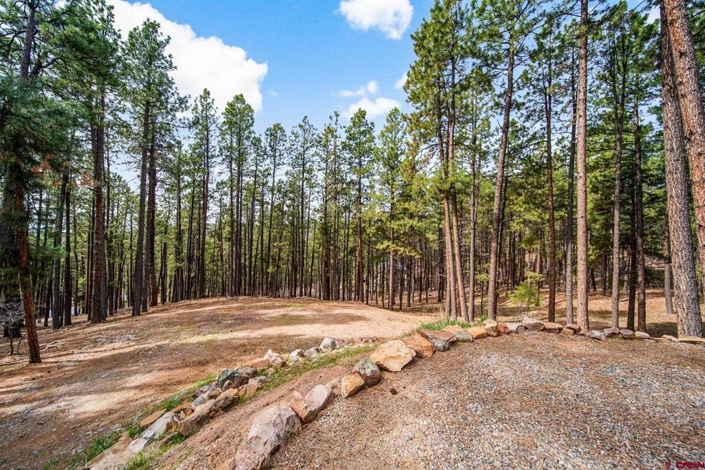 272 Timber Drive Bayfield CO 81122