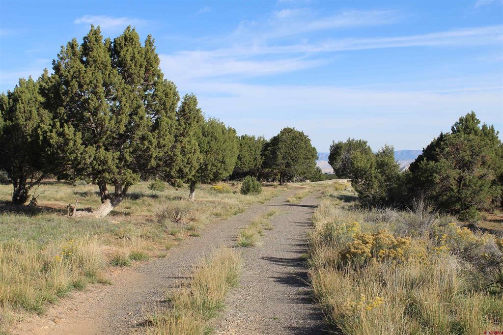 215 County Road 22a Montrose CO 81401