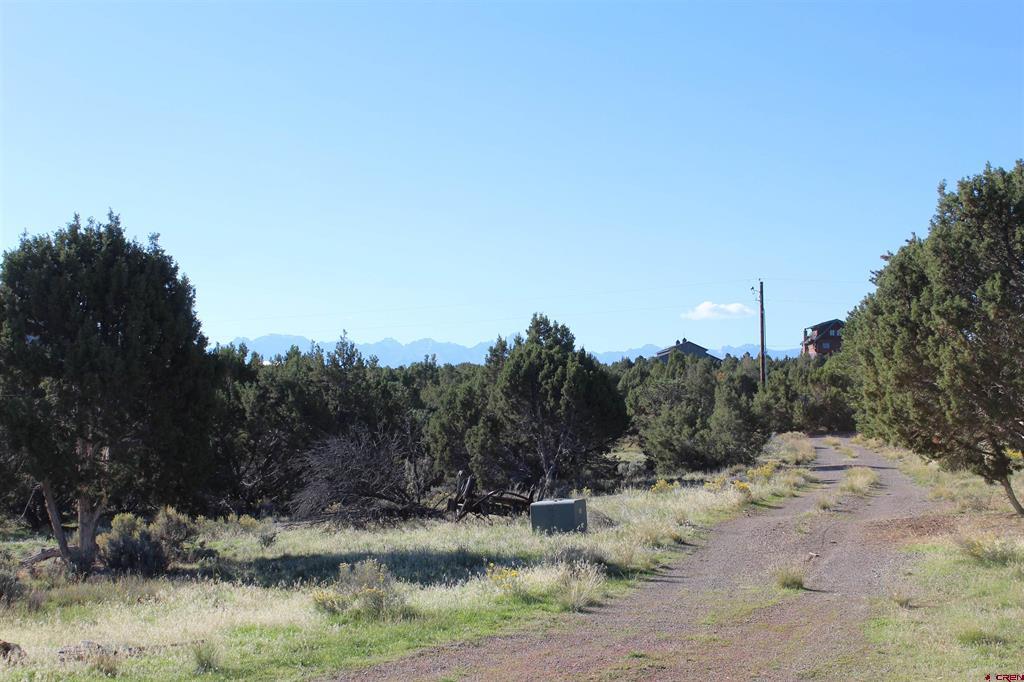 215 County Road 22a Montrose CO 81401