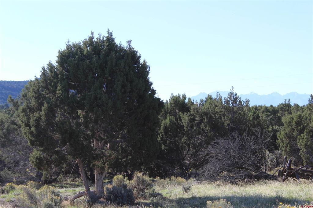 215 County Road 22a Montrose CO 81401