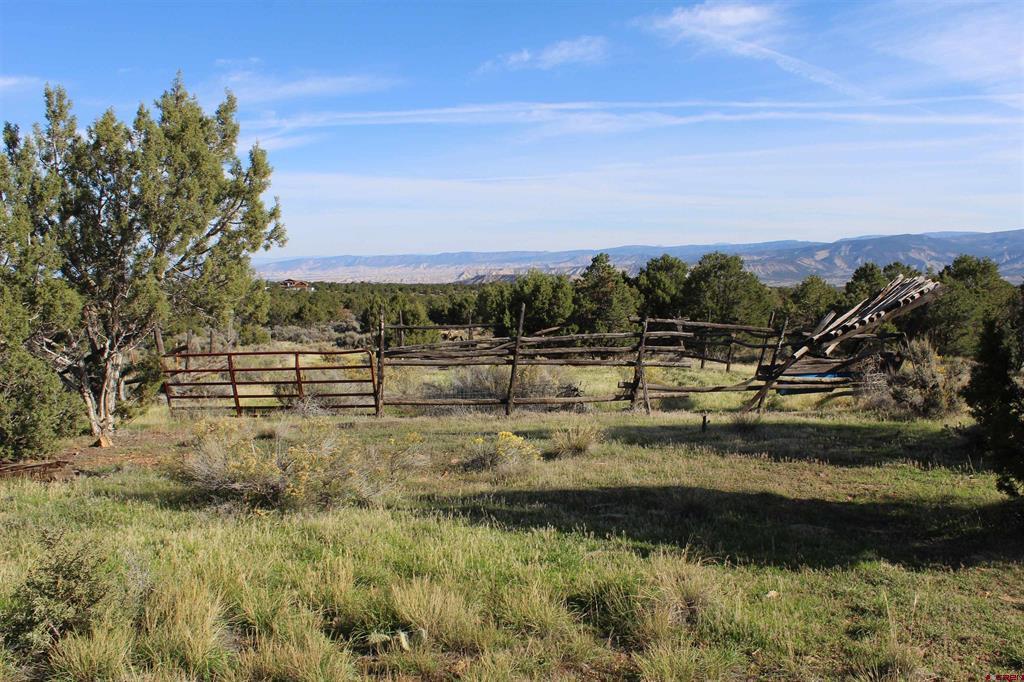 215 County Road 22a Montrose CO 81401
