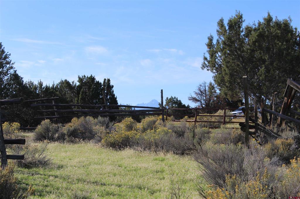 215 County Road 22a Montrose CO 81401