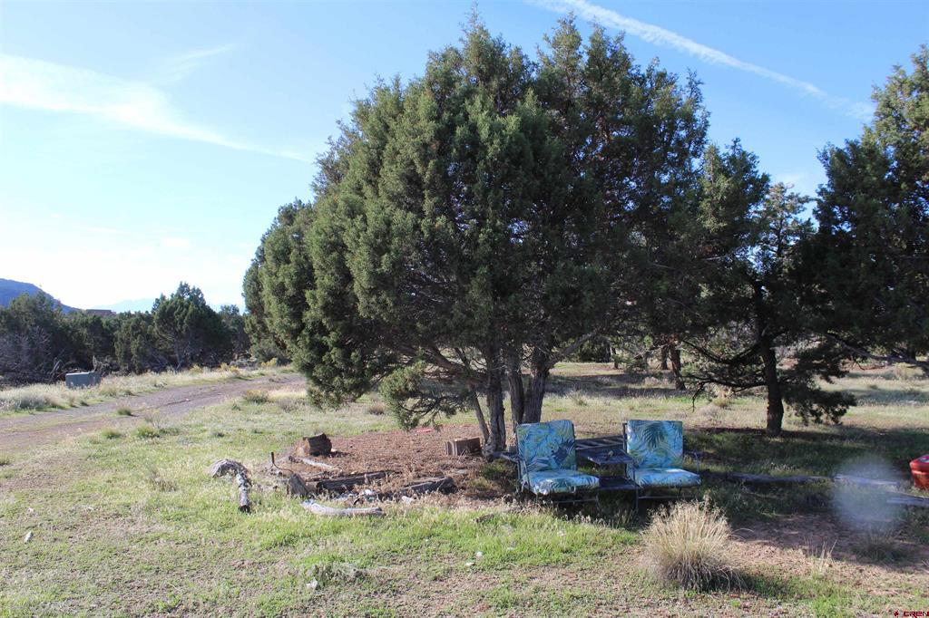 215 County Road 22a Montrose CO 81401