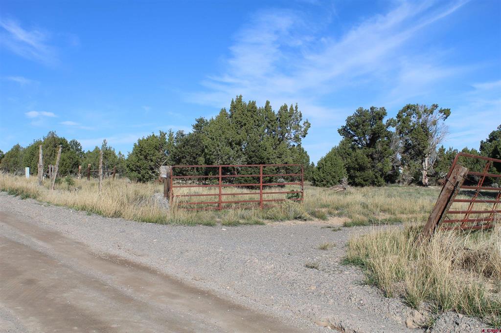 215 County Road 22a Montrose CO 81401