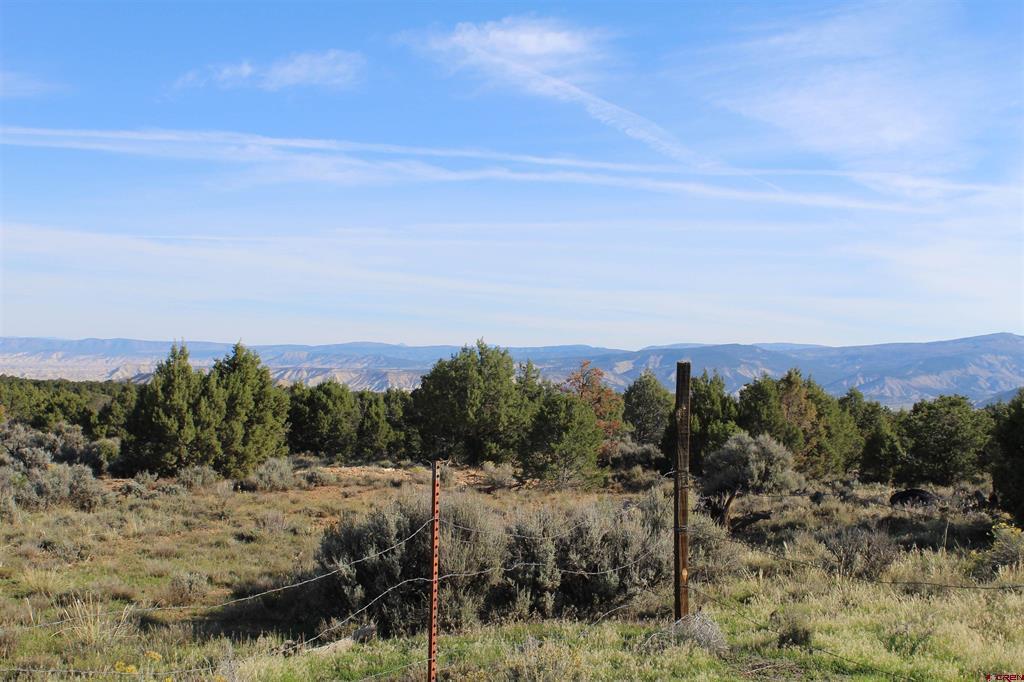 215 County Road 22a Montrose CO 81401