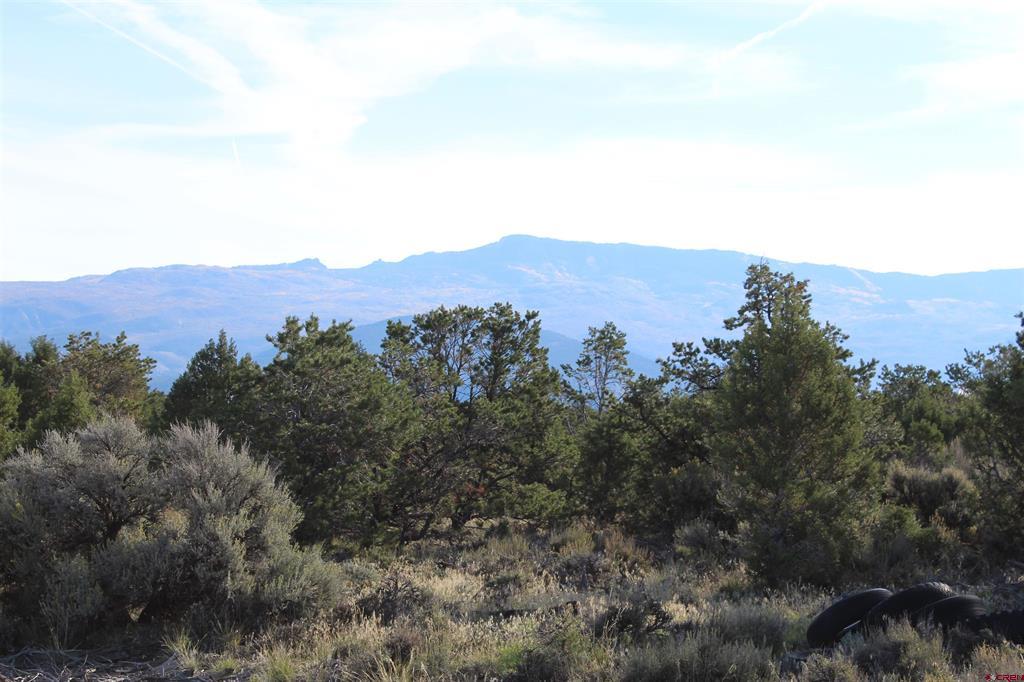 215 County Road 22a Montrose CO 81401
