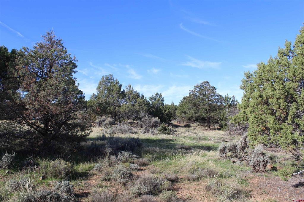 215 County Road 22a Montrose CO 81401