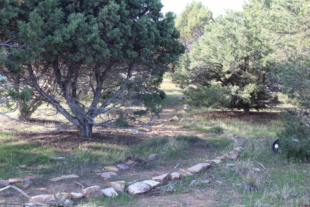 215 County Road 22a Montrose CO 81401