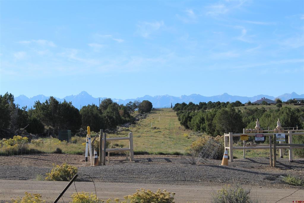 215 County Road 22a Montrose CO 81401