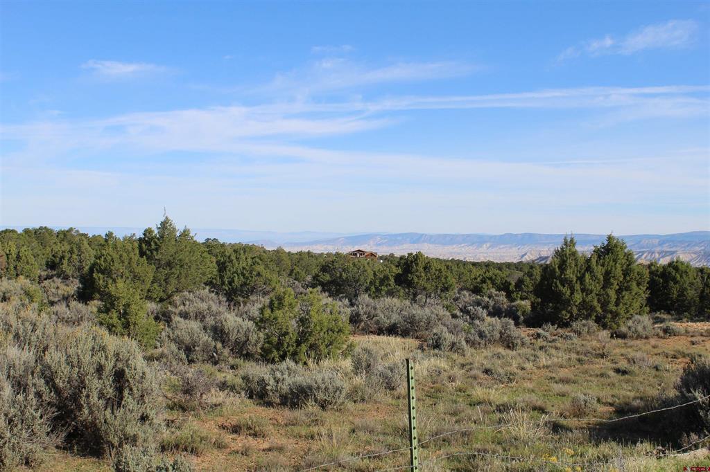 215 County Road 22a Montrose CO 81401