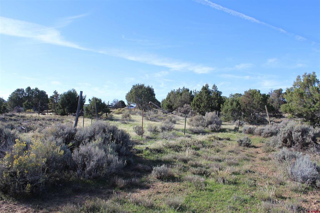 215 County Road 22a Montrose CO 81401
