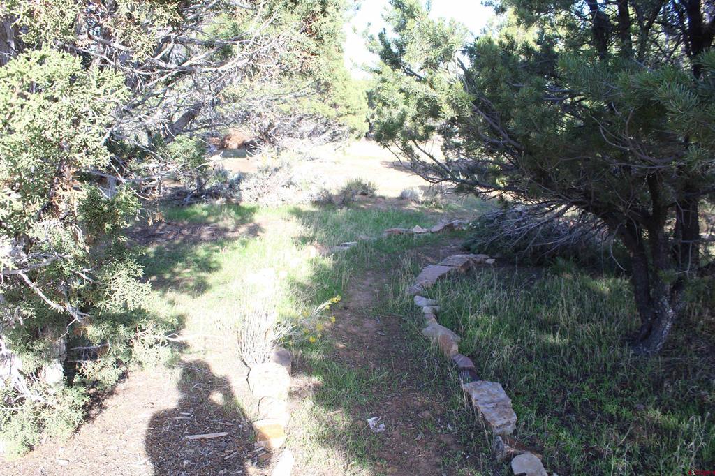215 County Road 22a Montrose CO 81401