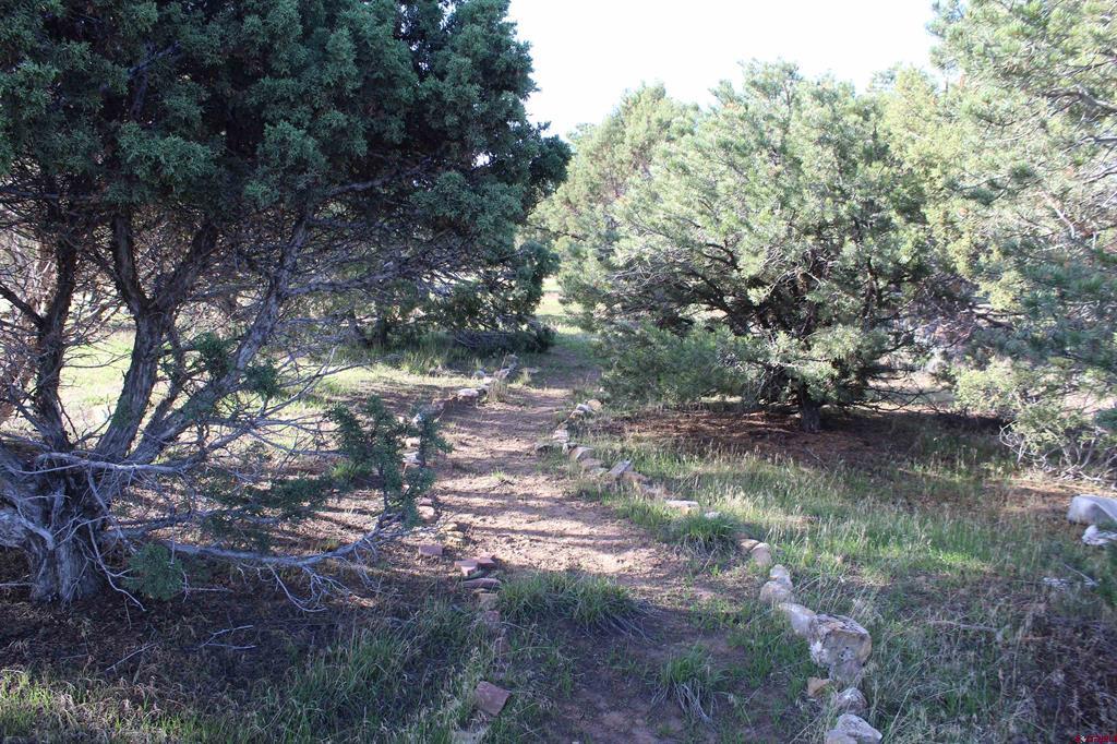215 County Road 22a Montrose CO 81401