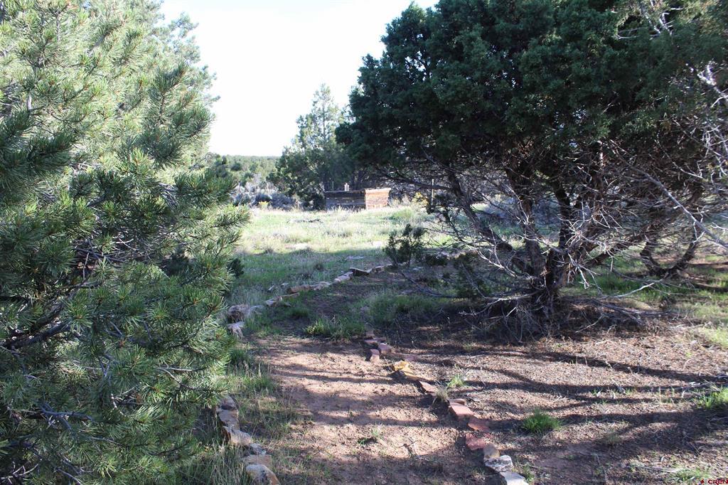 215 County Road 22a Montrose CO 81401
