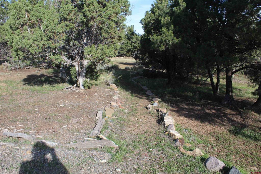 215 County Road 22a Montrose CO 81401