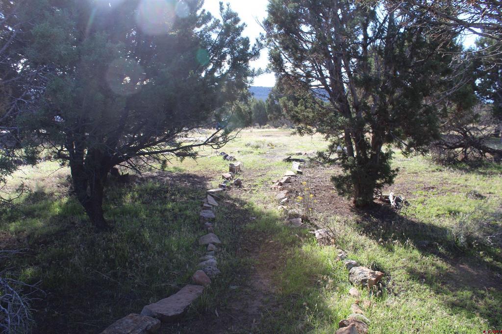 215 County Road 22a Montrose CO 81401