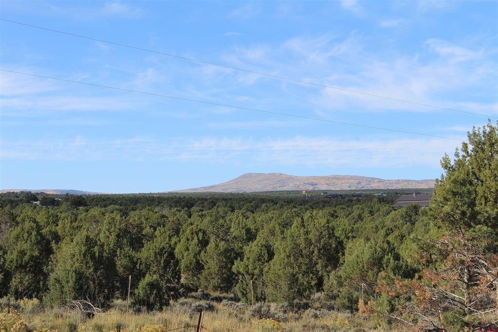 215 County Road 22a Montrose CO 81401