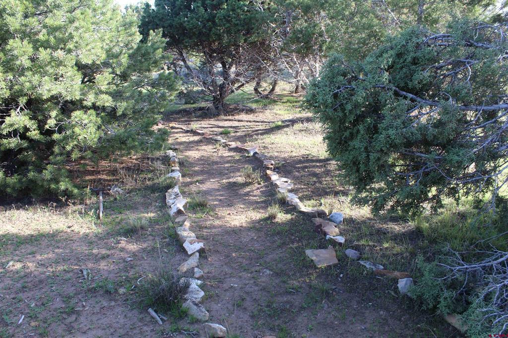 215 County Road 22a Montrose CO 81401