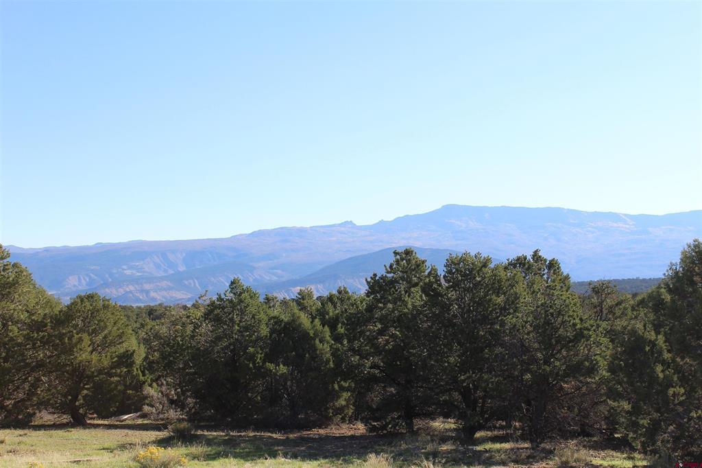 215 County Road 22a Montrose CO 81401