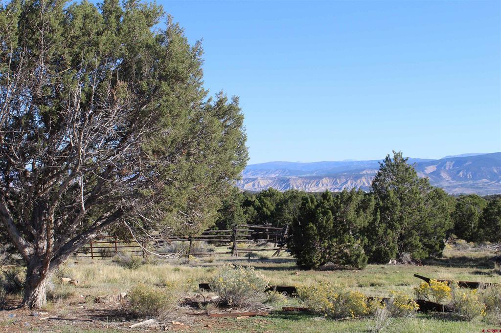 215 County Road 22a Montrose CO 81401