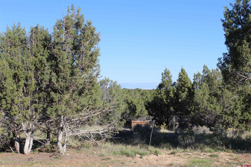 215 County Road 22a Montrose CO 81401