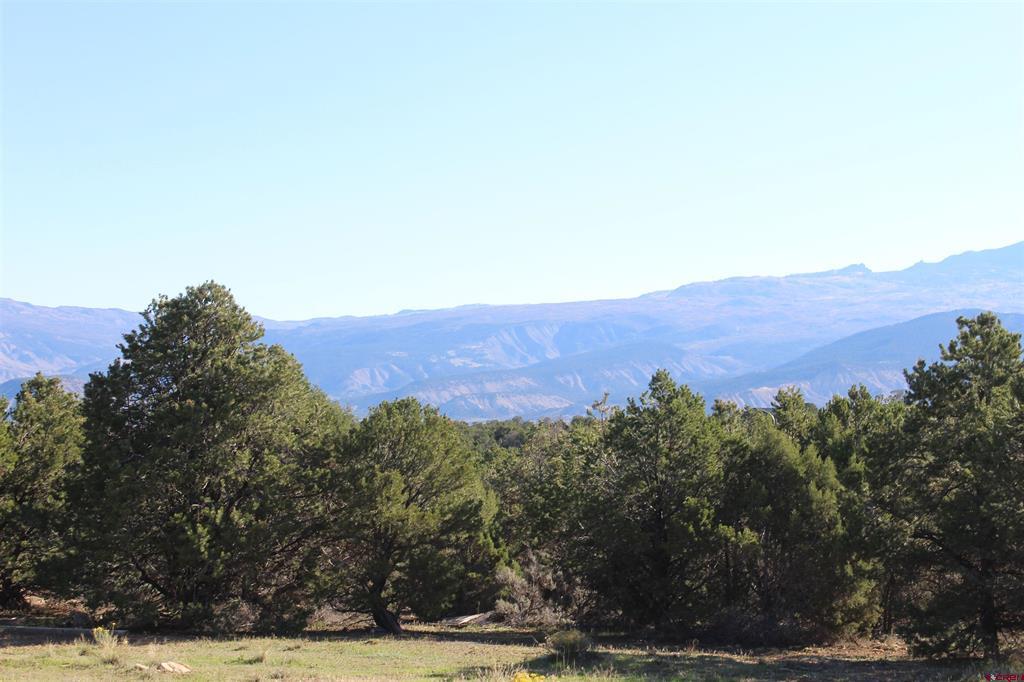 215 County Road 22a Montrose CO 81401