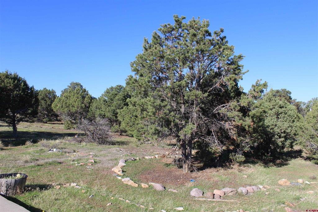 215 County Road 22a Montrose CO 81401