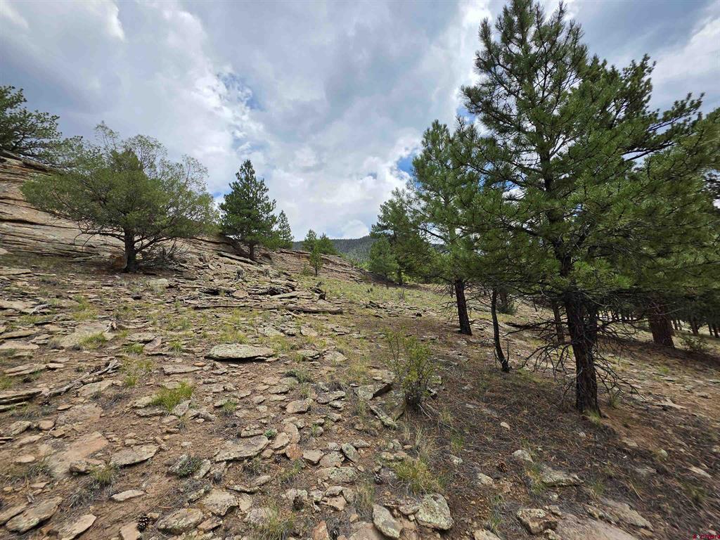 511 Church Creek Drive South Fork CO 81154