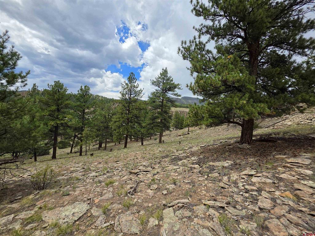 511 Church Creek Drive South Fork CO 81154