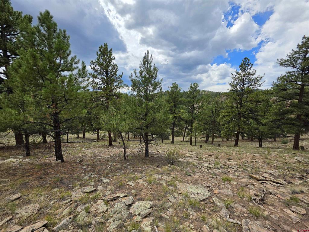 511 Church Creek Drive South Fork CO 81154