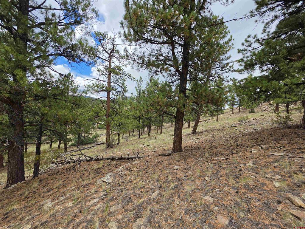 511 Church Creek Drive South Fork CO 81154