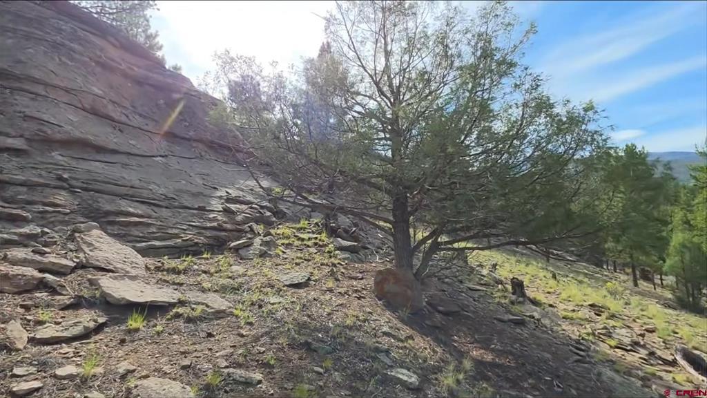 511 Church Creek Drive South Fork CO 81154