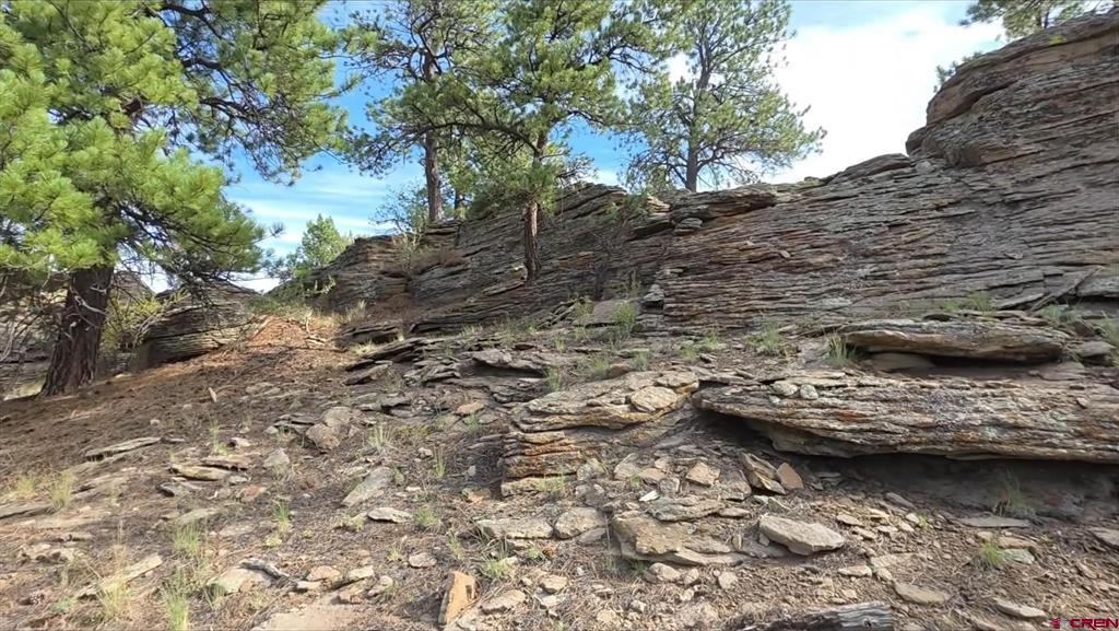 511 Church Creek Drive South Fork CO 81154