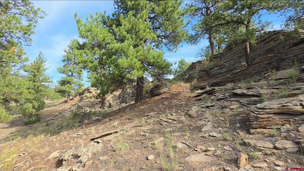 511 Church Creek Drive South Fork CO 81154