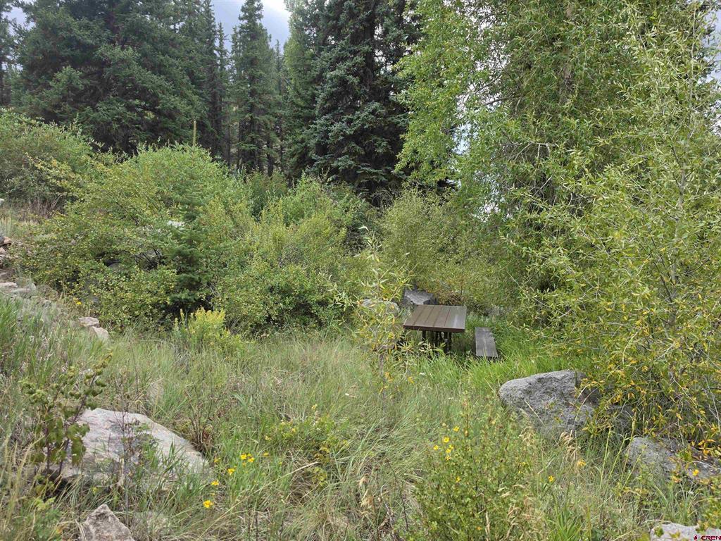 511 Church Creek Drive South Fork CO 81154