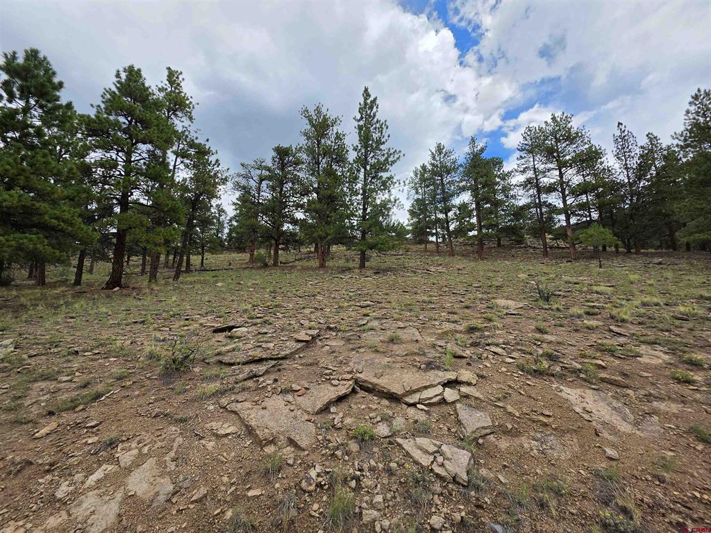 511 Church Creek Drive South Fork CO 81154