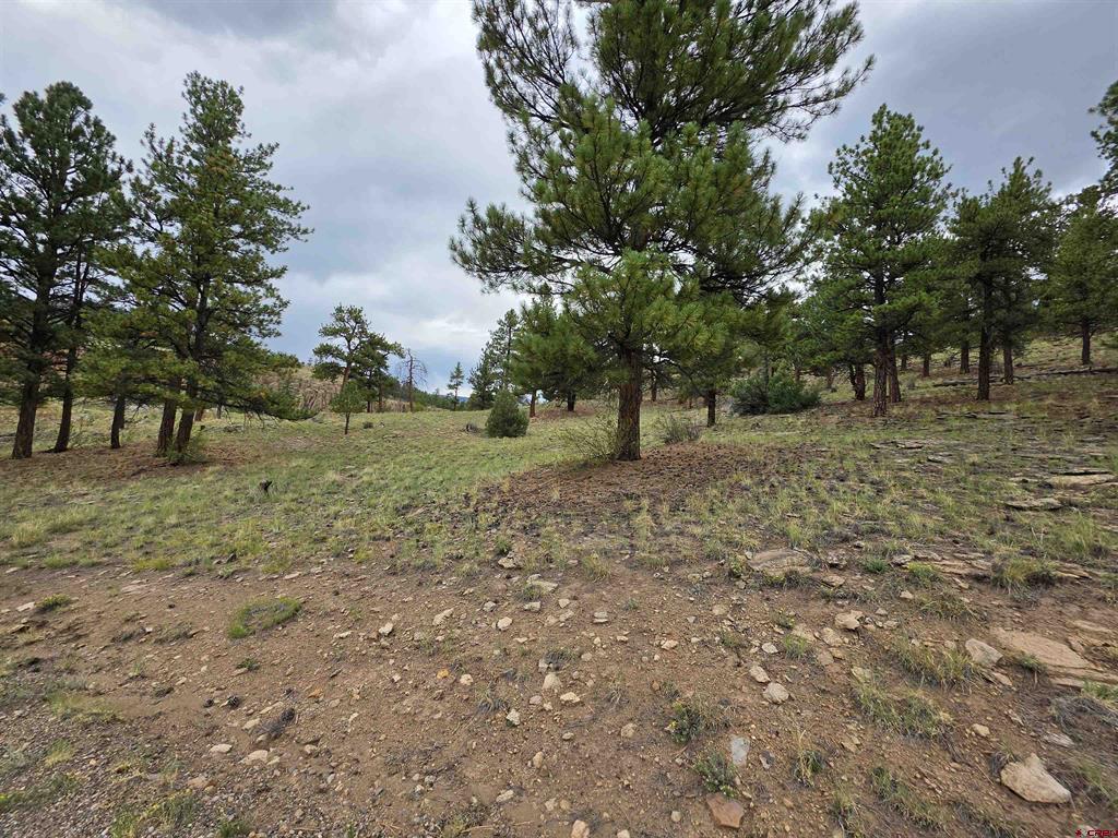 511 Church Creek Drive South Fork CO 81154