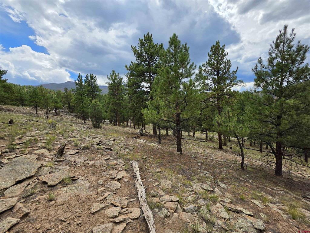 511 Church Creek Drive South Fork CO 81154
