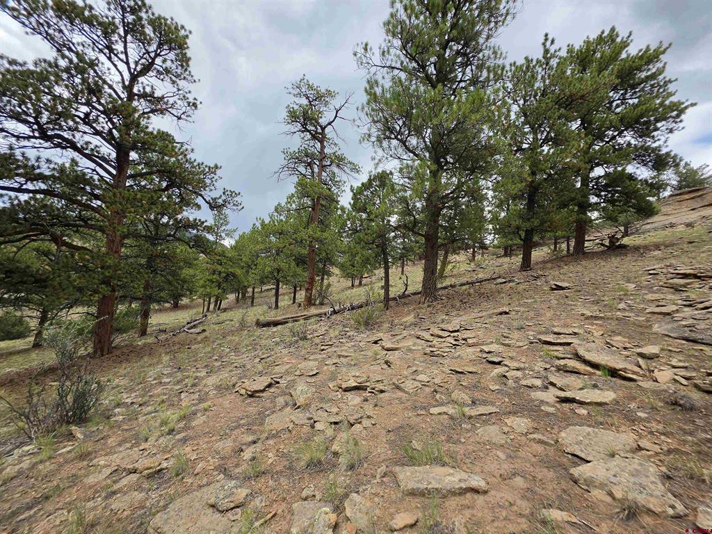 511 Church Creek Drive South Fork CO 81154