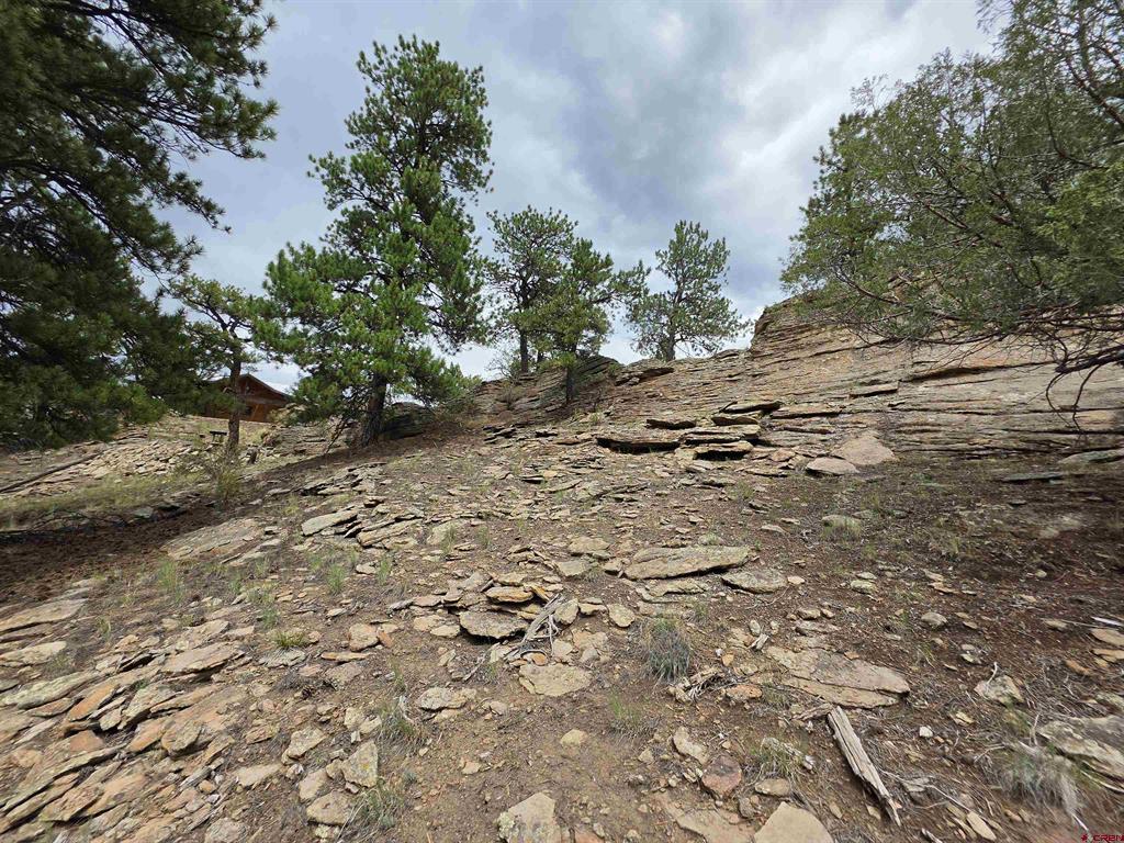 511 Church Creek Drive South Fork CO 81154